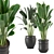 Lush Indoor Plant Set - 202 3D model small image 1