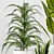 Indoor Houseplant Set: 4 Varieties 3D model small image 3