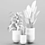 Indoor Houseplant Set: 4 Varieties 3D model small image 5