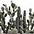 Exotic Cactus Collection 3D model small image 3