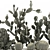 Exotic Cactus Collection 3D model small image 4