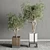 Indoor Plant Set: Box Pot, Tree Shrub Bush 3D model small image 3