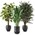 Set 203: Green Oasis - Indoor Plants 3D model small image 1