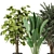 Set 203: Green Oasis - Indoor Plants 3D model small image 2