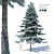 Blue Spruce (Picea pungens) - 3 Colors, Realistic 3D Model 3D model small image 1