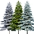 Blue Spruce (Picea pungens) - 3 Colors, Realistic 3D Model 3D model small image 3