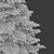 Blue Spruce (Picea pungens) - 3 Colors, Realistic 3D Model 3D model small image 4