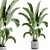 15-Piece Indoor Plant Set: V-Ray/Corona, 46,209 Polys, 2015 Version 3D model small image 6