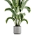 15-Piece Indoor Plant Set: V-Ray/Corona, 46,209 Polys, 2015 Version 3D model small image 7