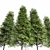 Real Tree Models for 3dsMax and OBJ 3D model small image 6