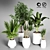 Indoor Plant Collection: 27 Varieties 3D model small image 2