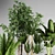 Indoor Plant Collection: 27 Varieties 3D model small image 6