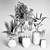 Indoor Plant Collection: 27 Varieties 3D model small image 7