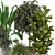 Green Oasis: Indoor Plants Collection 3D model small image 3