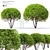 Ethereal Elegance: Graceful Sphere Shaped Trees 3D model small image 1