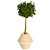 Lush Greenery - Premium Plant Collection 3D model small image 5