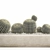 Tropical Exotic Cacti Collection 3D model small image 3