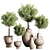 Modern Indoor Plant Stand 47 3D model small image 1