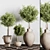 Modern Indoor Plant Stand 47 3D model small image 5