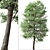  Italian Alder Tree: Beautiful & Hardy 3D model small image 3