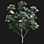 Elegant Japanese Camellia Tree 3D model small image 4