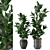 Modern Indoor Plant Collection - Set 205 3D model small image 1