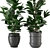 Modern Indoor Plant Collection - Set 205 3D model small image 2