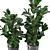 Modern Indoor Plant Collection - Set 205 3D model small image 3