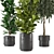  3D Indoor Plants Collection - Set 206 3D model small image 2
