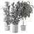  3D Indoor Plants Collection - Set 206 3D model small image 6