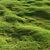 Scattered Grass Patterns 3D model small image 4