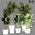  Indoor Plant Collection - 32 Varieties 3D model small image 2