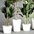  Indoor Plant Collection - 32 Varieties 3D model small image 3