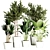  Indoor Plant Collection - 32 Varieties 3D model small image 7