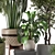 Rustic Indoor Plants - Set 447 3D model small image 6