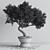 Mini Bonsai Tree - 3D Plant Model 3D model small image 7