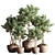 76-Piece Indoor Plant Set: Exquisite Greenery for any Space 3D model small image 1