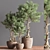 76-Piece Indoor Plant Set: Exquisite Greenery for any Space 3D model small image 4