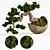 Artisanal Bonsai Pinus Sylvestris 3D model small image 1