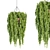 Hanging Plant Collection: Stylish PBR Creations 3D model small image 2