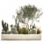 Exotic Cactus Collection | Decorative Plants in Concrete Pots 3D model small image 1