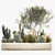 Exotic Cactus Collection | Decorative Plants in Concrete Pots 3D model small image 5
