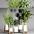 Indoor Plant Collection 3D model small image 2
