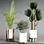 Indoor Plant Collection 3D model small image 3