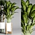 Indoor Plant Collection 3D model small image 5