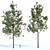 Evergreen Pine Trees Collection Vol. 11 3D model small image 3