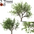 Tang Dynasty Loquat Tree Set 3D model small image 1