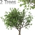 Tang Dynasty Loquat Tree Set 3D model small image 3