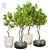 Versatile Indoor Plant Vol. 32 3D model small image 1