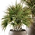 Tropical Bush in Vintage Pot - Indoor Plant Set 3D model small image 3